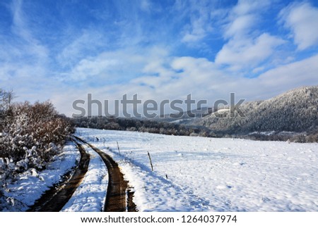 way on a field in winter 