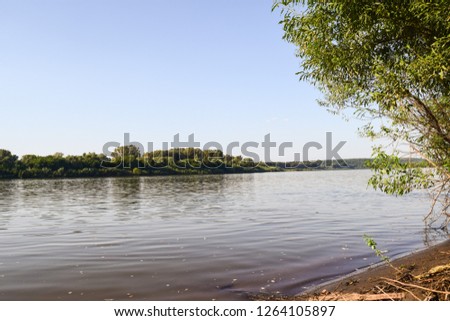 Sunny day by the river.
The shores of a large reservoir in the middle of summer, lots of green vegetation.