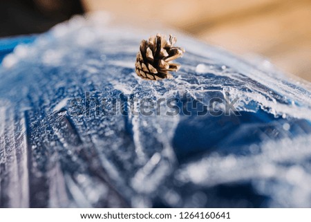 winter december pine cone branch detail
