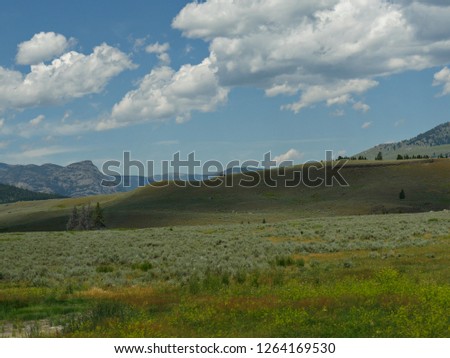 Gentle rolling hills and green meadow with gorgeous clouds in the skies at Yellowstone National Park.
