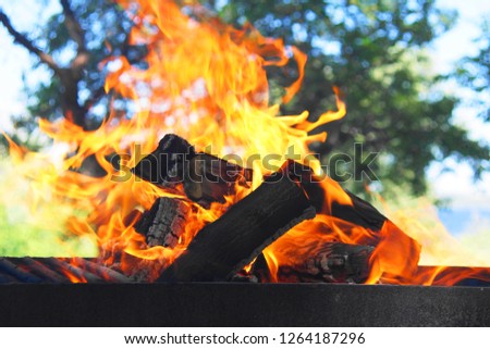 burning firewood, open fire, bonfire, red glowing coal