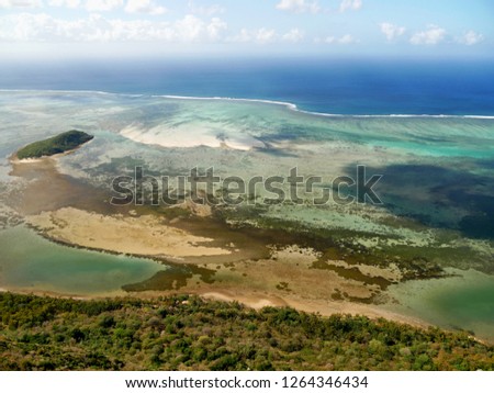 Mauritius island. Coral reef.