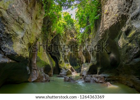 Wide angle view of scenery at hidden canyon showing off the jungle and epic landscapes of bali Royalty-Free Stock Photo #1264363369