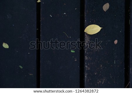 Autumn background, dry autumn leave on the black wood floor.