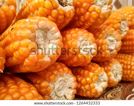 Madura's corn without skin.  Photo stock.  Royalty free