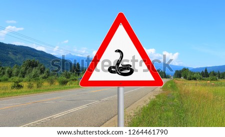 Warning road sign - Animals on the road (snake) 