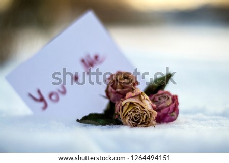 Me and you note on snow wilted roses