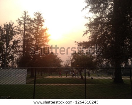 Men play basketball in the park as the sun sets behind them.