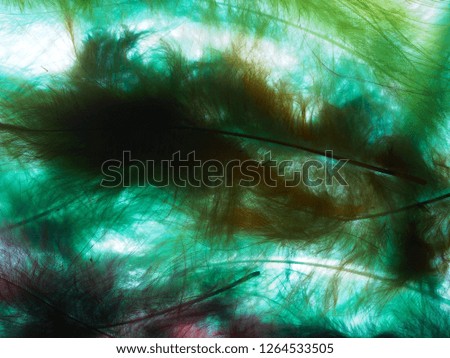 Background photo. Feathers are blue, blue and green. Abstraction
