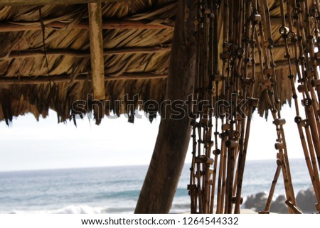 palm tree roof with hanging craft and the sea in the background