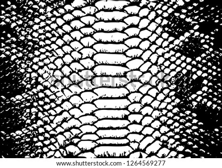 texture pattern black white snake crocodile reptile seamless repeat