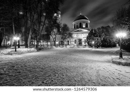 Winter park at night with decorations, lights, benches and trees. Snow landscape. Monochrome.