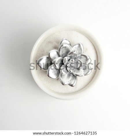silver succulent potted plants isolated on white background. decoration metal plants for home.                                                                                                    