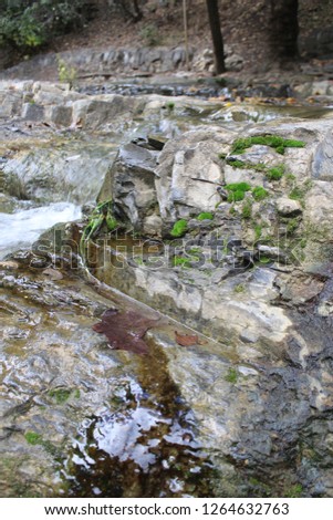 Scenic view on the beautiful landscape with rocks and water flow in Tbilisi botanical garden, Tbilisi, Georgia