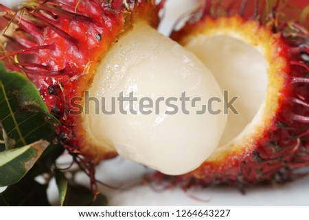 Rambutan fruit is commonly grown in gardens throughout South East Asia.