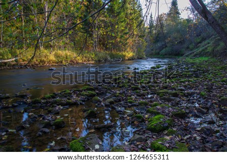 rocky forest river with low stream in summer. River of Amata, Latvia