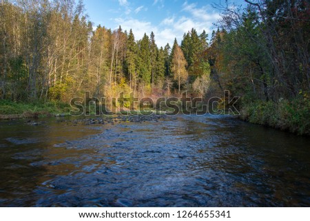 rocky forest river with low stream in summer. River of Amata, Latvia