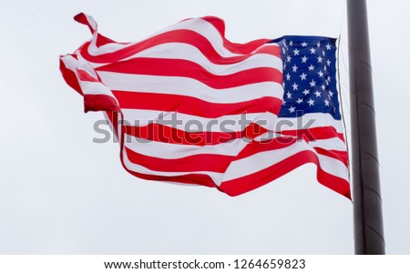 Flag Flapping in the Wind