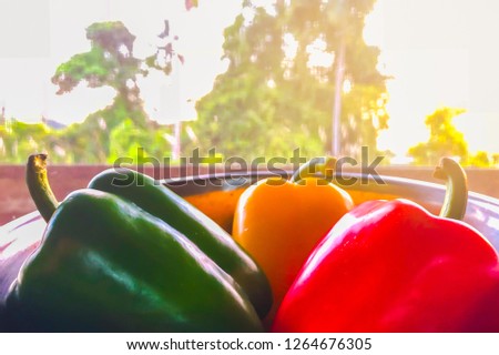 Bell peppers and a host of pepper cousins are some of the most versatile vegetables in the kitchen