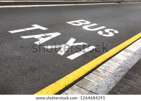 Bus Taxi sign painted on the road.