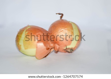 onion oignon chive

