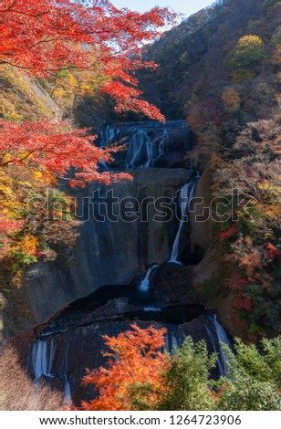 Fukuroda falls in Autumn in Daigo ,Ibaraki Prefecture ,Japan. The river flows through the falls and ultimately joins a major Kuji River. The width of the falls is 73 m, while the height reaches 120 m.
