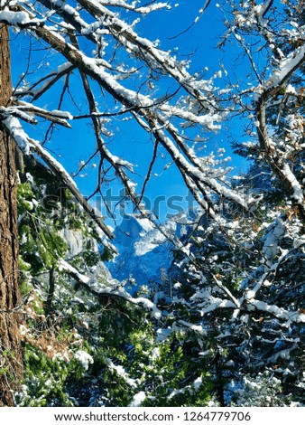 Snowy Mountain Landscape in Winter with Mountains through Trees