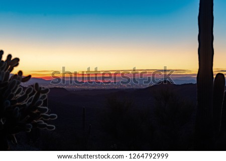 Cholla and Saguaro Cactus at dawn looking towards Tucson, Arizona from Saguaro National Park near Picture Rocks. Blue, white, pink, red and gray colors in the dawn sky before sunrise.  