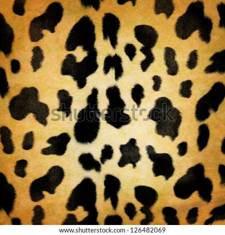 seamless leopard background