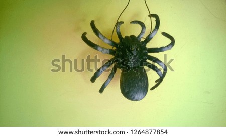 Texture and background, wallpaper of a hung black decorative spider in a residential or public room on a yellow wall a clear sunny autumn day.