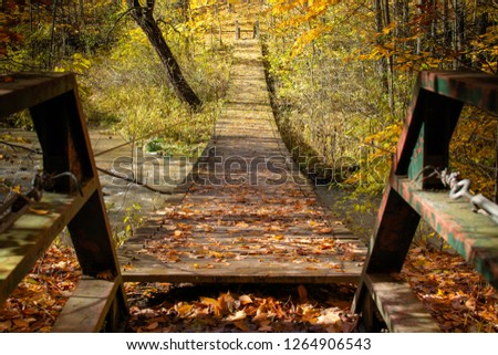 A wooden suspended bridge over a stream with orange and yellow leaves during the fall season.