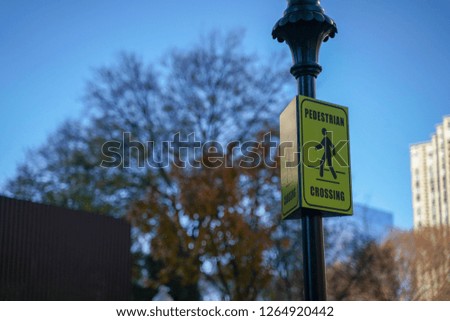 Pedestrian Crossing Sign With Autumn Road Background 
