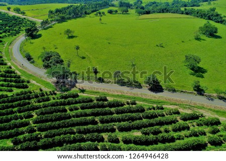 Aerial view of agriculture scene and rural scene. Beaufiful landscape. Great countryside view. Agriculture scenery. Rural scenery. Countryside scenery. Farming, agribusiness, pasture, livestock.