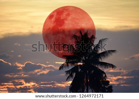 Fantasy picture. The red moon is behind the black tree.