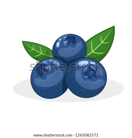 stock vector of blueberry graphic object illustration Royalty-Free Stock Photo #1265082571