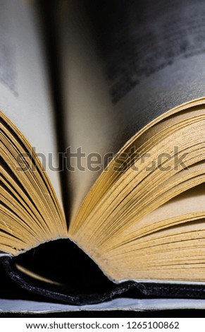 An old book with the rustic looking pages left open, shot a shallow depth of field, macro photography