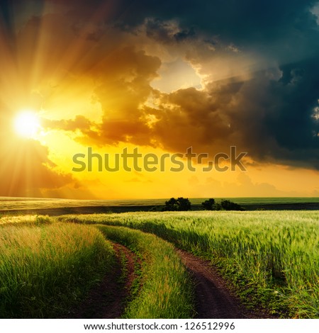 dramatic sunset over rural road in green field