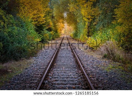 Rails and track in the autumn forest, Berlin, Germany