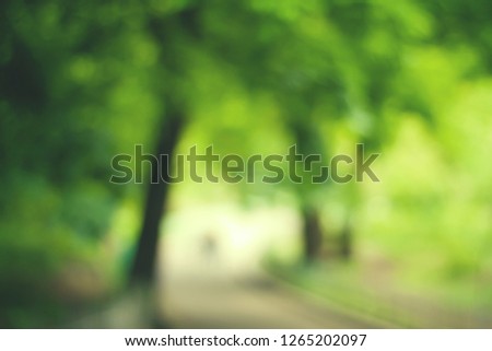 Blurry nature wallpaper. Forest bokeh background. Green defocused backdrop for design.
