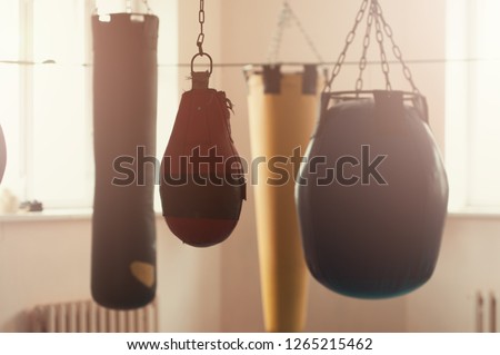 Row of black boxing bags of different shapes hanging in the sports gym. Boxing sand bags hanging in the club on the daylight, nobody in the gym