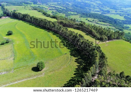 Aerial view of countryside road curve. Great landscape. Beautiful rural scene.