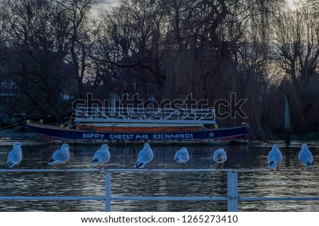 Birds sitting on a fence on the banks of the River Thames in front of a boat painter Happy Christmas Richmond, Richmond, London - December 2018