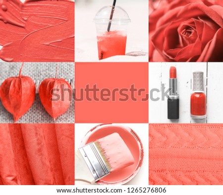 collage in coral color trend of the year 2019