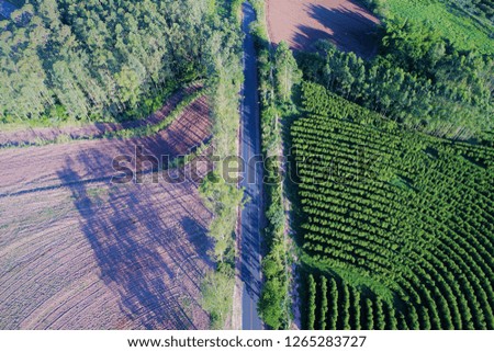 Aerial view of agriculture and rural scene. Beaufiful landscape. Great countryside view