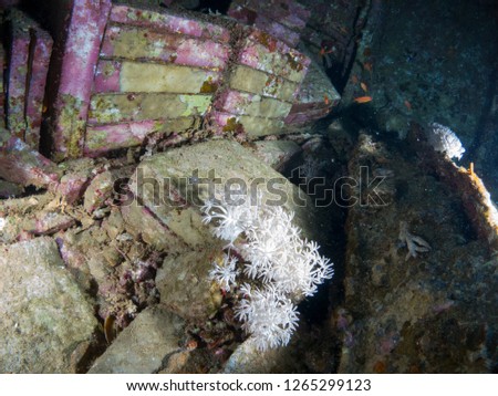 sunken ship with under the sea