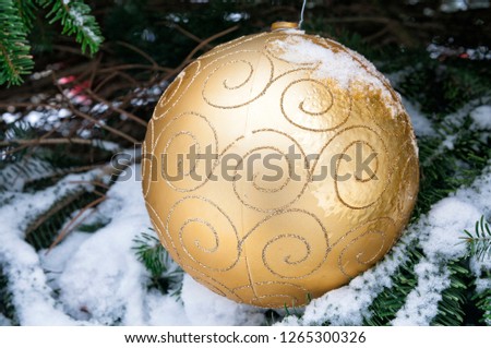 Ornamental golden globe for outdoor Christmas tree. Fir under the free sky full of snow and ice screens in December. Merry Christmas and Happy New Year.