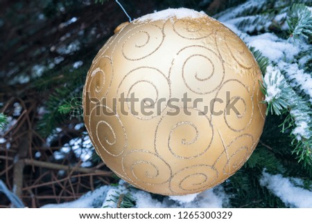 Ornamental golden globe for outdoor Christmas tree. Fir under the free sky full of snow and ice screens in December. Merry Christmas and Happy New Year.