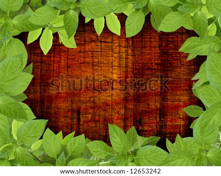 Old wooden background with floral frame