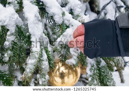 Ornamental hand and golden globe for outdoor Christmas tree. Fir under the free sky full of snow and ice screens in December. Merry Christmas and Happy New Year.