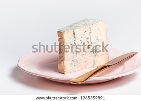 A slice of Blue cheese 